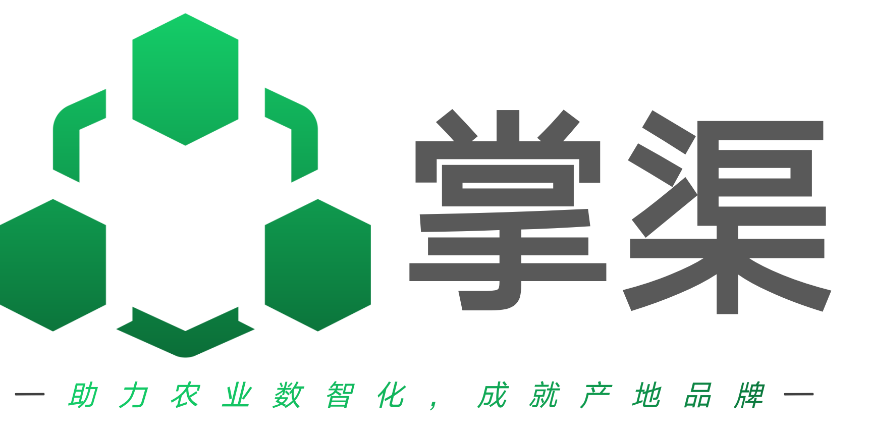 掌渠