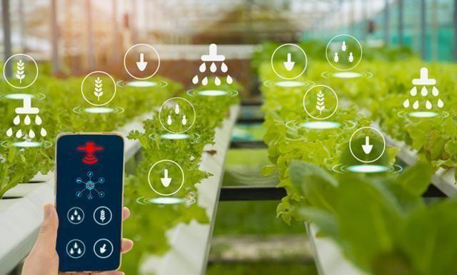 农产品营销解决方案