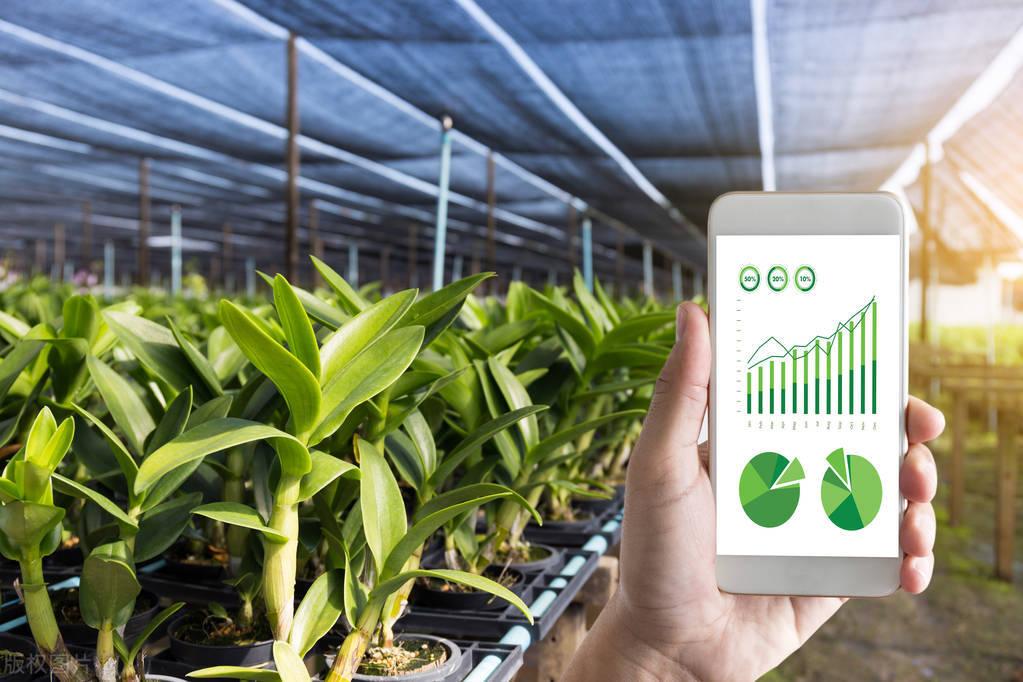 农产品渠道解决方案